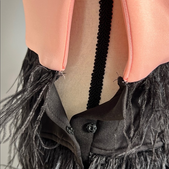 Maia Feathered Dress - Picture 6 of 10